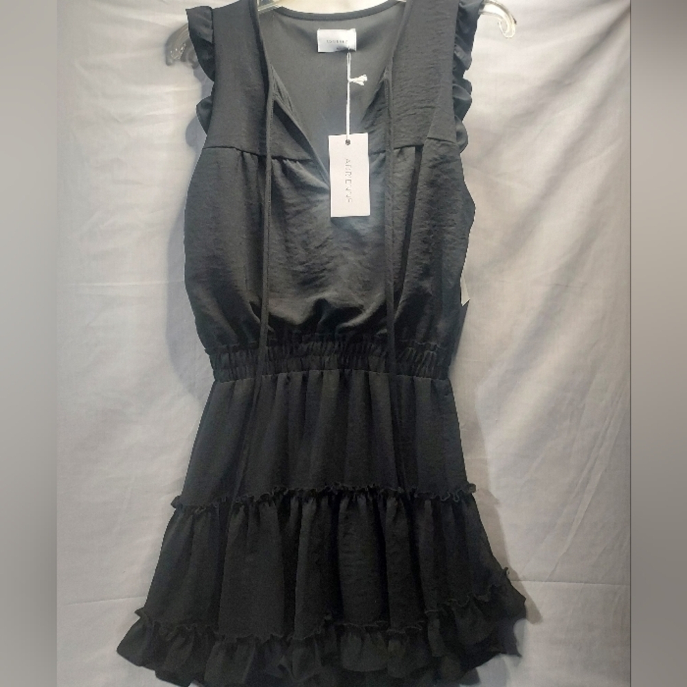 NWT Adrienne Elenor Dress -‎ Black